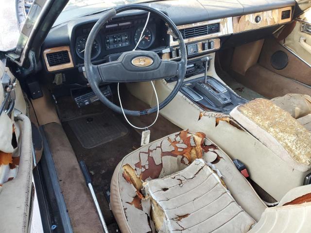 Photo 8 from auction – 1982 JAGUAR XJS with VIN SAJNV5849CC107144