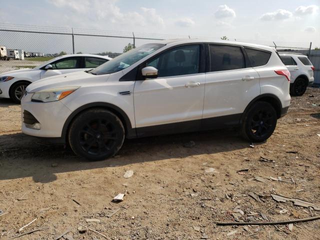FORD ESCAPE SEL 2013 with VIN 1FMCU0HX2DUB85973 - Photo from auction
