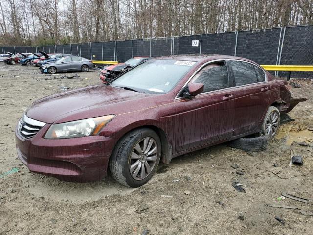 HONDA ACCORD EXL 2011 with VIN 1HGCP2F8XBA084375 - Photo from auction