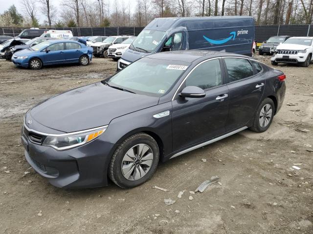 KIA OPTIMA HYB 2017 with VIN KNAGT4LE8H5008945 - Photo from auction