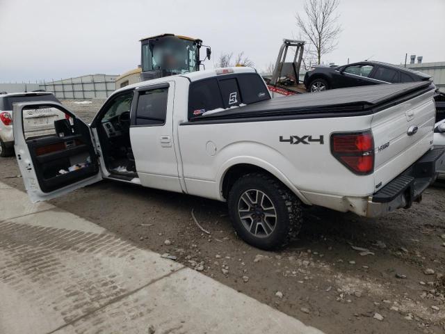 Photo 2 from auction – 2010 FORD F150 SUPER with VIN 1FTFW1EV0AFD64646