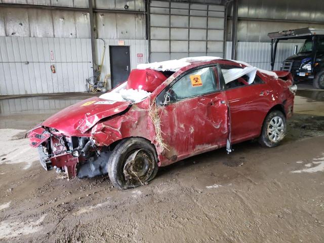 TOYOTA COROLLA BA 2011 with VIN 2T1BU4EE1BC727584 - Photo from auction