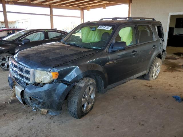 FORD ESCAPE LIM 2009 with VIN 1FMCU04G49KC11644 - Photo from auction