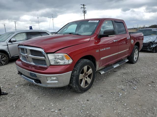 DODGE RAM 1500 2011 with VIN 1D7RV1CT5BS542521 - Photo from auction