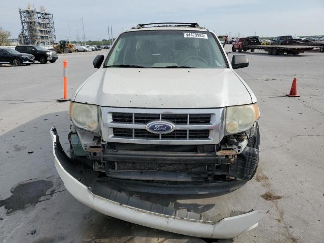 Photo 5 from auction – 2010 FORD ESCAPE XLT with VIN 1FMCU0D72AKD09785