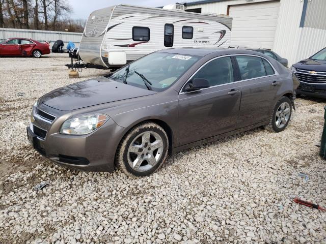 CHEVROLET MALIBU 2011 with VIN 1G1ZB5E17BF129135 - Photo from auction