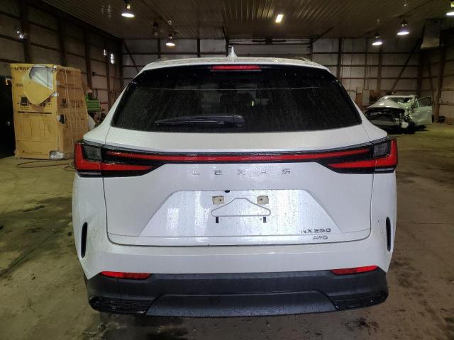 Photo 6 from auction – 2022 LEXUS NX 250 with VIN JTJADCEZ4N5000169