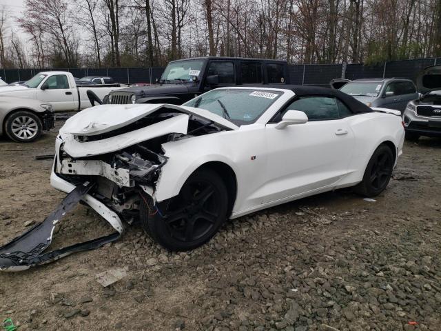 CHEVROLET CAMARO LS 2019 with VIN 1G1FB3DS4K0113012 - Photo from auction