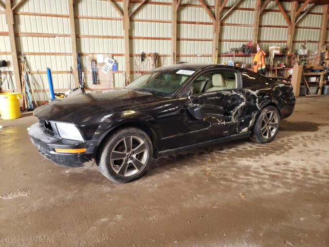 FORD MUSTANG 2005 with VIN 1ZVFT80N355127005 - Photo from auction
