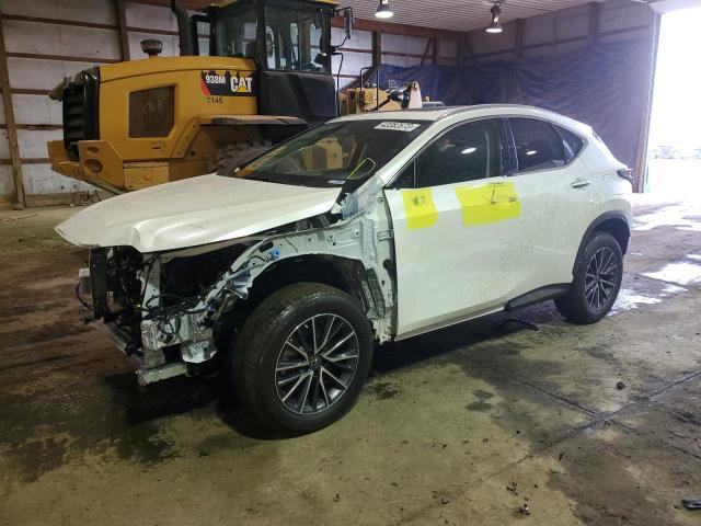 Photo 1 from auction – 2022 LEXUS NX 250 with VIN JTJADCEZ4N5000169
