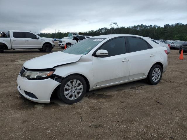 KIA FORTE EX 2012 with VIN KNAFU4A27C5643469 - Photo from auction