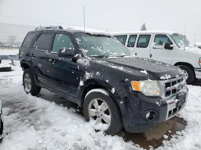 Photo 4 from auction – 2010 FORD ESCAPE LIM with VIN 1FMCU9EG0AKA29267