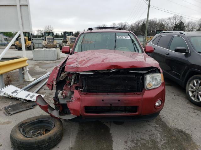 Photo 5 from auction – 2011 FORD ESCAPE with VIN 1FMCU9EG6BKC06227
