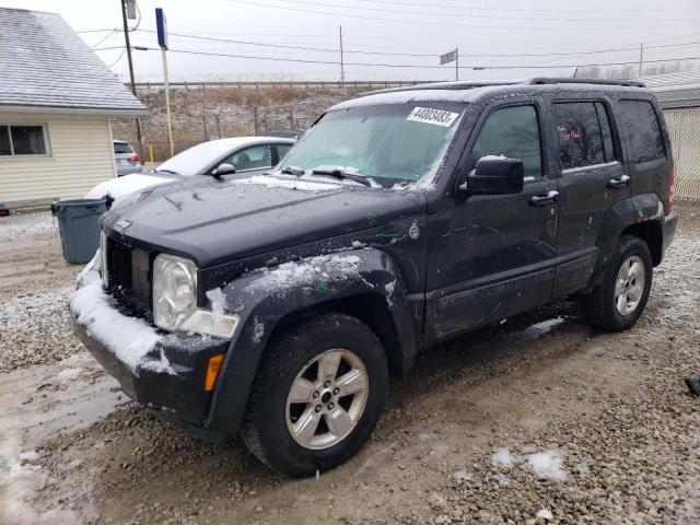JEEP LIBERTY SP 2011 with VIN 1J4PN2GK2BW573446 - Photo from auction