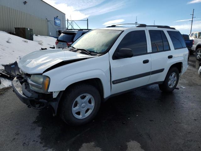 CHEVROLET TRAILBLAZE 2003 مع رقم تعريف المركبة 1GNDT13S032132476 - صورة من المزاد