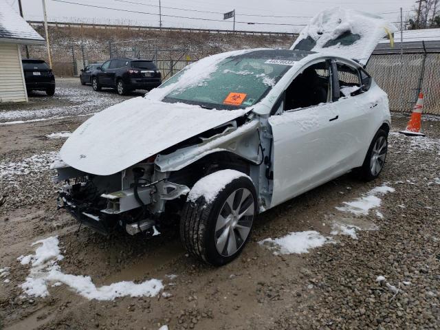 TESLA MODEL Y 2021 with VIN 5YJYGDEE3MF106279 - Photo from auction