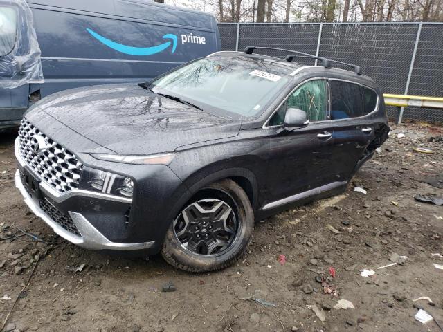 HYUNDAI SANTA FE L 2023 with VIN 5NMS4DAL7PH504570 - Photo from auction