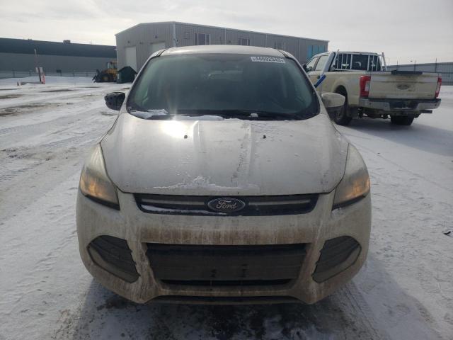 Photo 5 from auction – 2013 FORD ESCAPE SE with VIN 1FMCU9GX1DUD05543