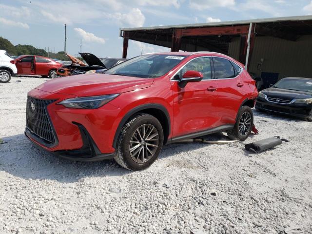 LEXUS NX 250 2023 with VIN 2T2ADCAZ9PC004003 - Photo from auction