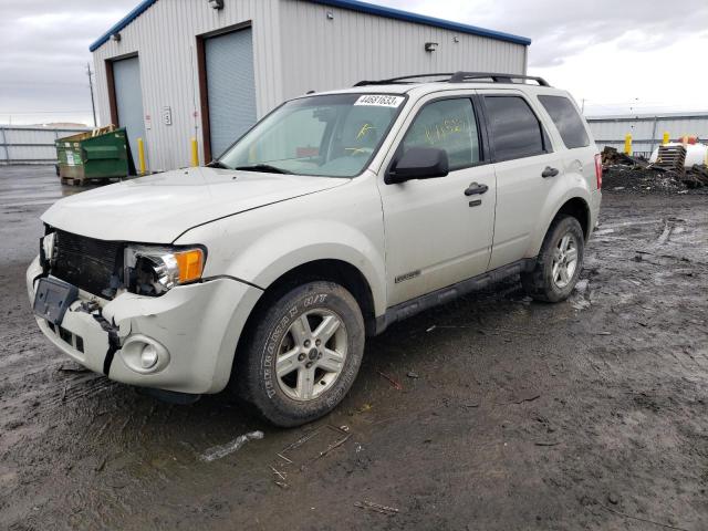 FORD ESCAPE XLT 2008 with VIN 1FMCU93Z18KC09128 - Photo from auction