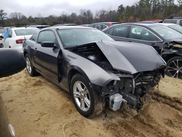 Photo 4 from auction – 2014 FORD MUSTANG with VIN 1ZVBP8AM4E5231074
