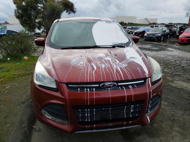 Photo 5 from auction – 2014 FORD ESCAPE SE with VIN 1FMCU0GX4EUB32405