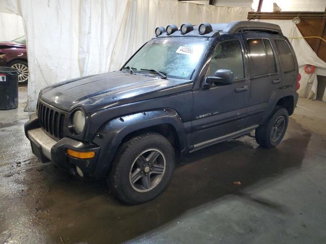 JEEP LIBERTY RE 2003 with VIN 1J4GL38K93W642628 - Photo from auction