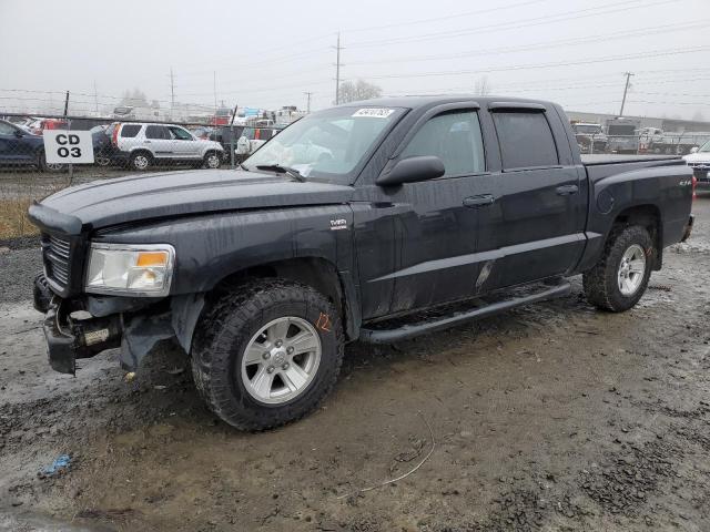 DODGE DAKOTA SXT 2010 with VIN 1D7CW3GP4AS166601 - Photo from auction