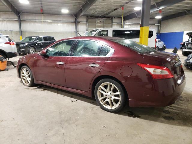 Photo 2 from auction – 2010 NISSAN MAXIMA S with VIN 1N4AA5AP2AC822783