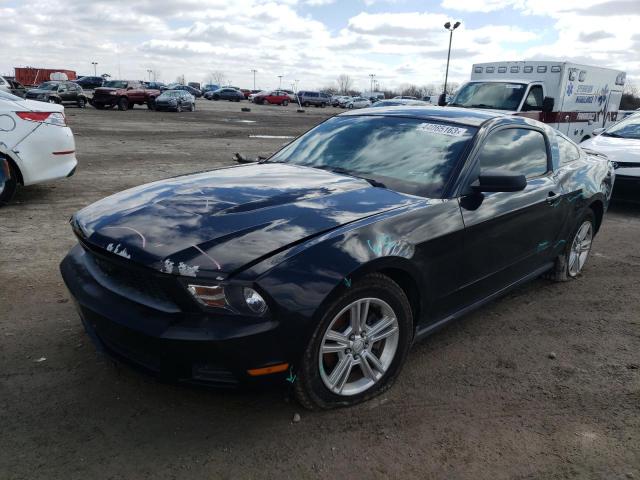 FORD MUSTANG 2011 with VIN 1ZVBP8AMXB5116958 - Photo from auction