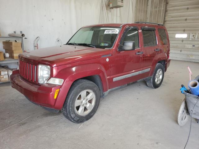JEEP LIBERTY SP 2011 with VIN 1J4PN2GK8BW502848 - Photo from auction