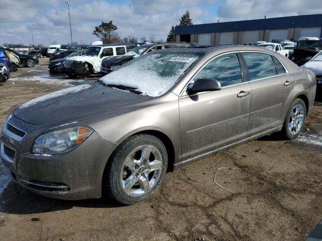 CHEVROLET MALIBU 1LT 2010 with VIN 1G1ZC5EB2AF213819 - Photo from auction