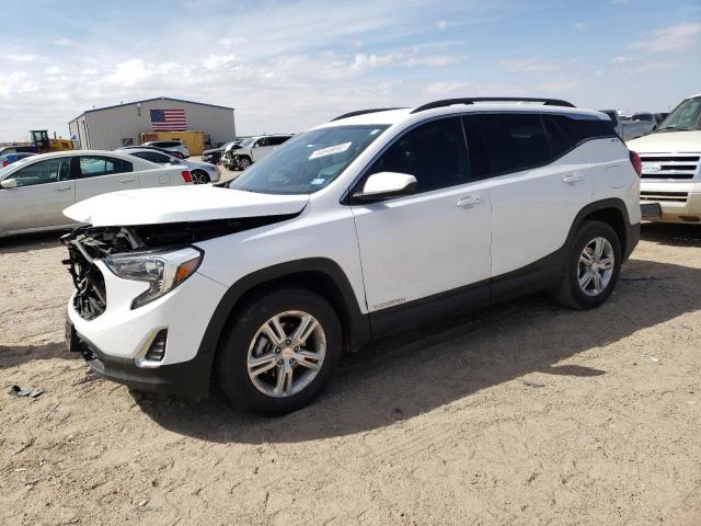 GMC TERRAIN SL 2019 with VIN 3GKALMEV2KL153027 - Photo from auction