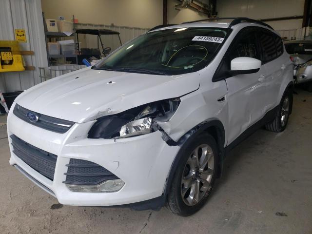 FORD ESCAPE SE 2014 with VIN 1FMCU0G98EUB06844 - Photo from auction