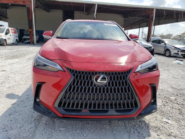Photo 5 from auction – 2023 LEXUS NX 250 with VIN 2T2ADCAZ9PC004003