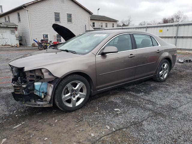 CHEVROLET MALIBU 1LT 2010 with VIN 1G1ZC5EB9AF247191 - Photo from auction