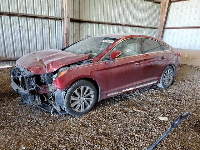 HYUNDAI SONATA SPO 2016 with VIN 5NPE34AF0GH291362 - Photo from auction