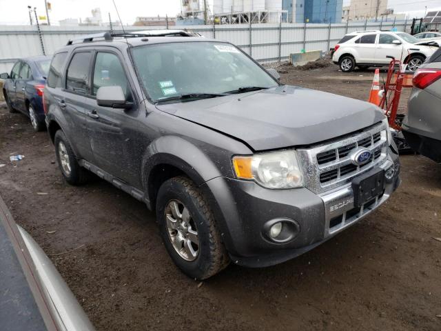 Фото 4 с аукциона – 2010 FORD ESCAPE LIM с VIN 1FMCU0EG7AKC71792
