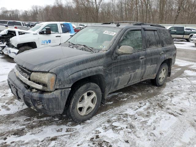 CHEVROLET TRAILBLAZE 2006 with VIN 1GNDT13S462110520 - Photo from auction