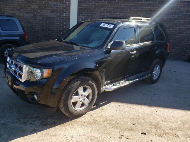 FORD ESCAPE XLT 2010 with VIN 1FMCU0DG9AKA02808 - Photo from auction