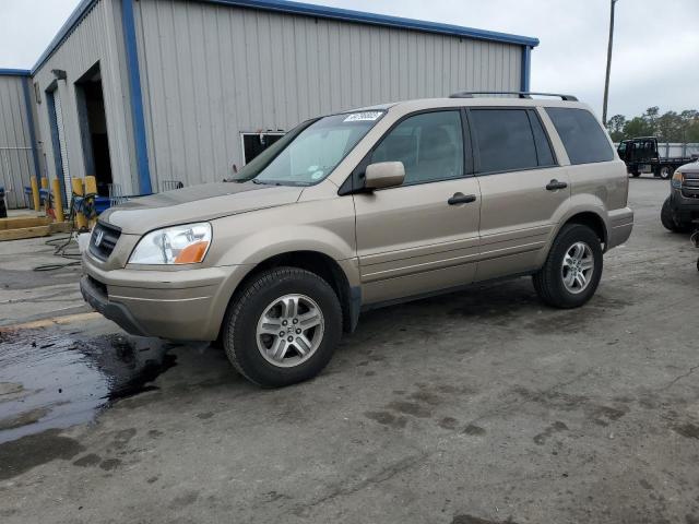 HONDA PILOT EXL 2005 with VIN 2HKYF18725H556667 - Photo from auction
