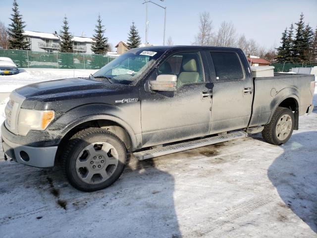 FORD F150 SUPER 2010 with VIN 1FTFW1EV4AFD67436 - Photo from auction
