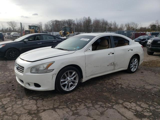 NISSAN MAXIMA S 2010 with VIN 1N4AA5AP6AC829235 - Photo from auction