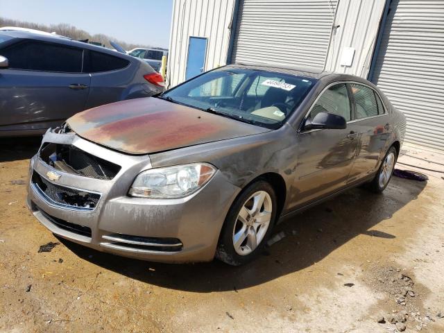 CHEVROLET MALIBU LS 2012 with VIN 1G1ZB5E0XCF352228 - Photo from auction