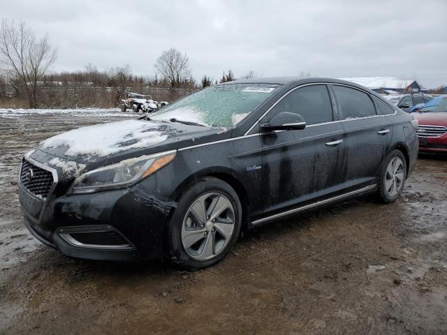 HYUNDAI SONATA HYB 2016 with VIN KMHE34L12GA014507 - Photo from auction