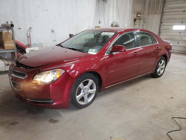 CHEVROLET MALIBU 1LT 2011 with VIN 1G1ZC5E16BF229160 - Photo from auction