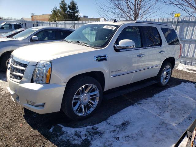 CADILLAC ESCALADE P 2013 with VIN 1GYS4FEJ2DR155663 - Photo from auction