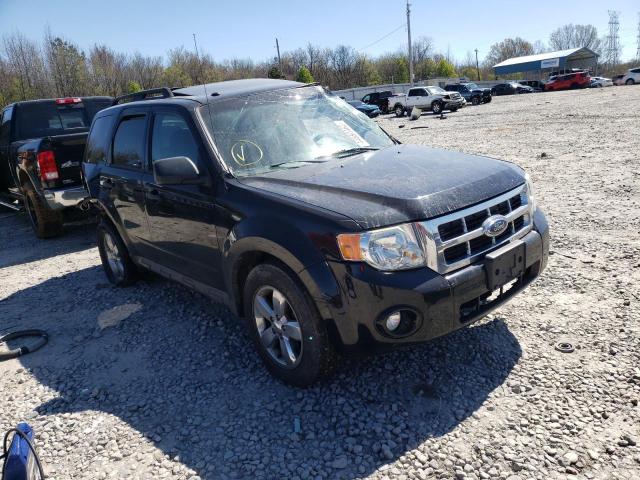 Photo 4 from auction – 2009 FORD ESCAPE XLT with VIN 1FMCU03G89KA82499