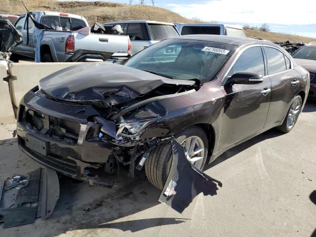 NISSAN MAXIMA S 2010 with VIN 1N4AA5AP3AC847787 - Photo from auction