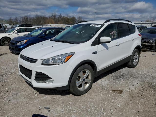 FORD ESCAPE SE 2014 with VIN 1FMCU0GX4EUE37600 - Photo from auction